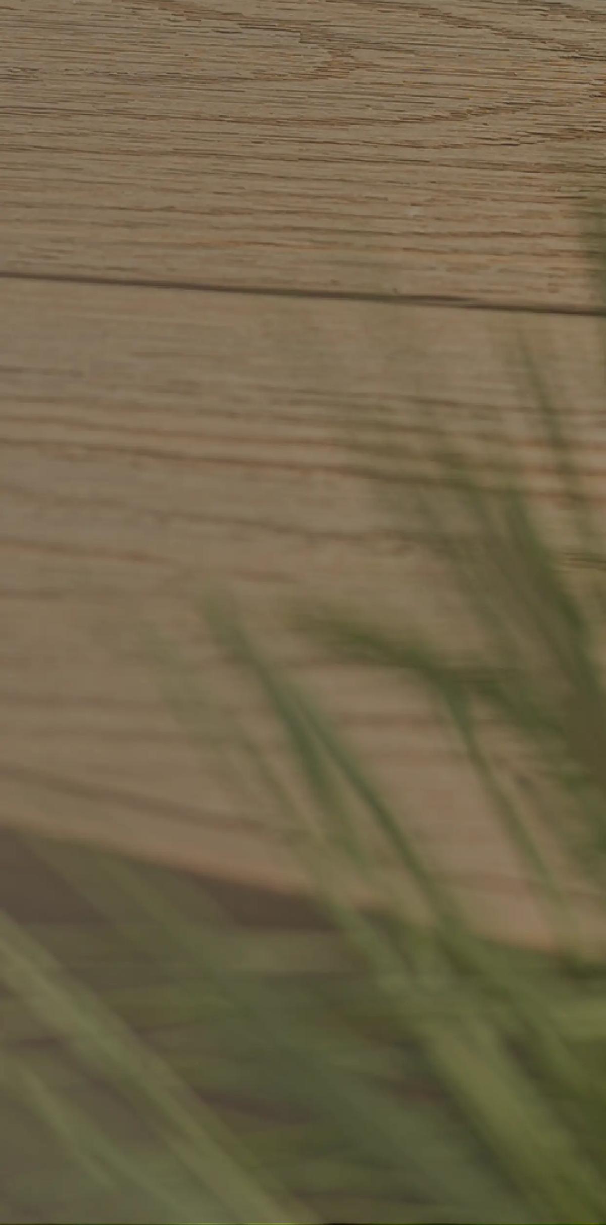 Kompozitní materiály pro terasy a fasády Timbermax
